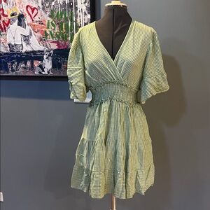 Max Studio Sage Striped Mini Dress